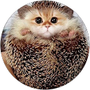 Carter W profile picture