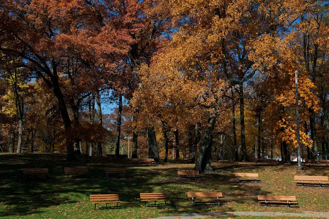 Fall foliage in a La Porte park — La Porte wildlife removal service area
